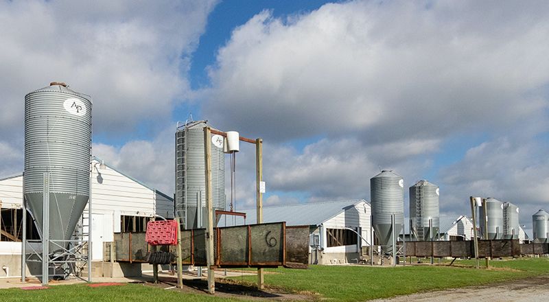 Empresa Agropecuaria Agro Norte SA