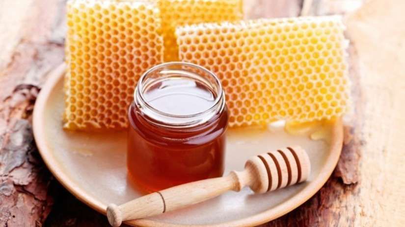Industrialización y exportación de la miel de abeja 
