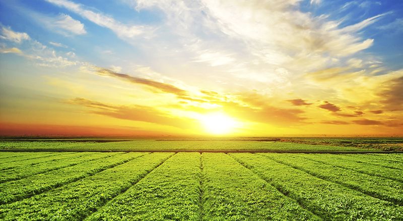 Agroindustria J&R