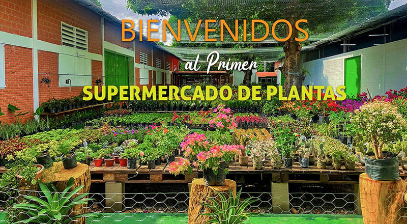 Supermercado de plantas MELKATI