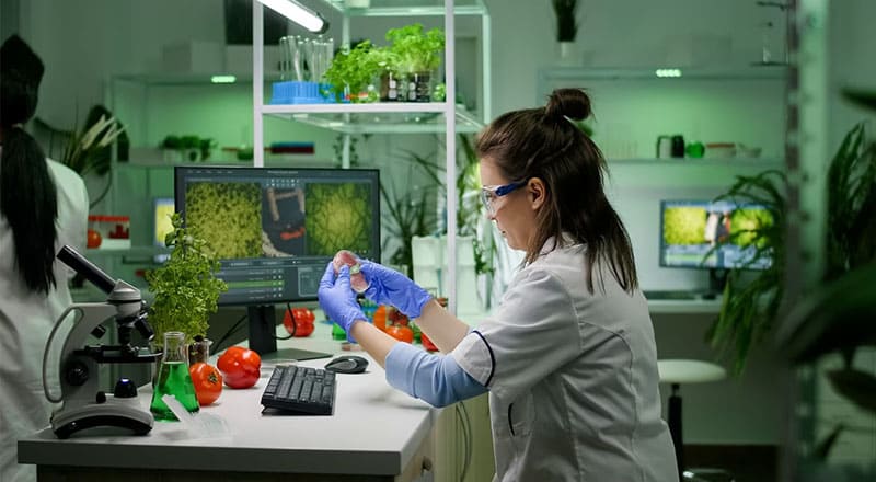 Inocuidad Alimentaria en la Industria
