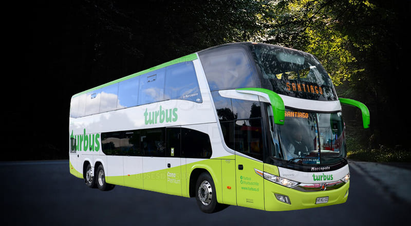 Turbus