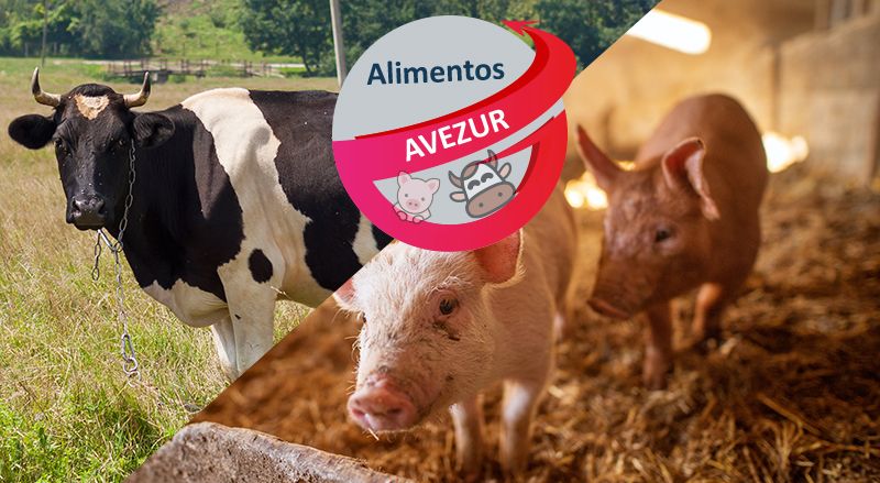 AVEZUR - Distribuidora de Alimentos para Animales