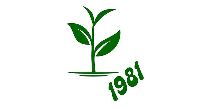 Jardín verdes 1981