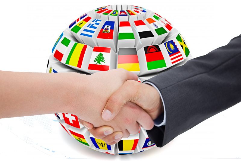 El profesional de relaciones internacionales en la Diplomacia 