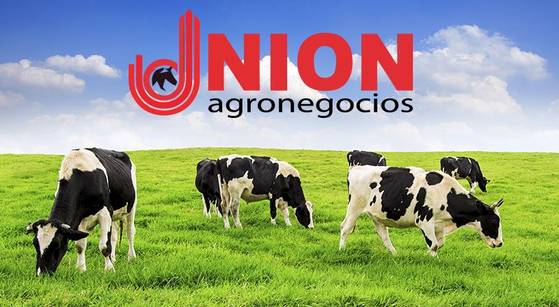 UNION Agronegocios