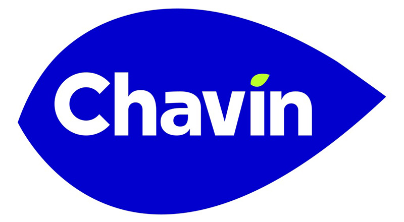 Chavin