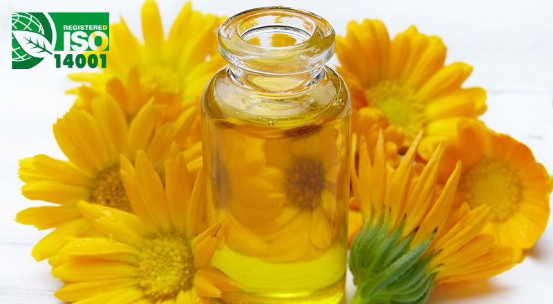 Industria aceitera AGROSELLER S.R.L - Norma ISO 14001:2015