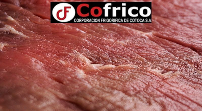 COFRICO S.A.