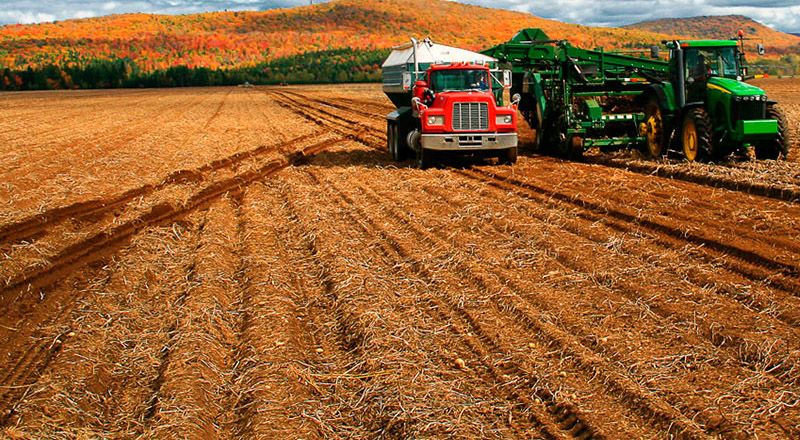Apoyo al sector agropecuario 