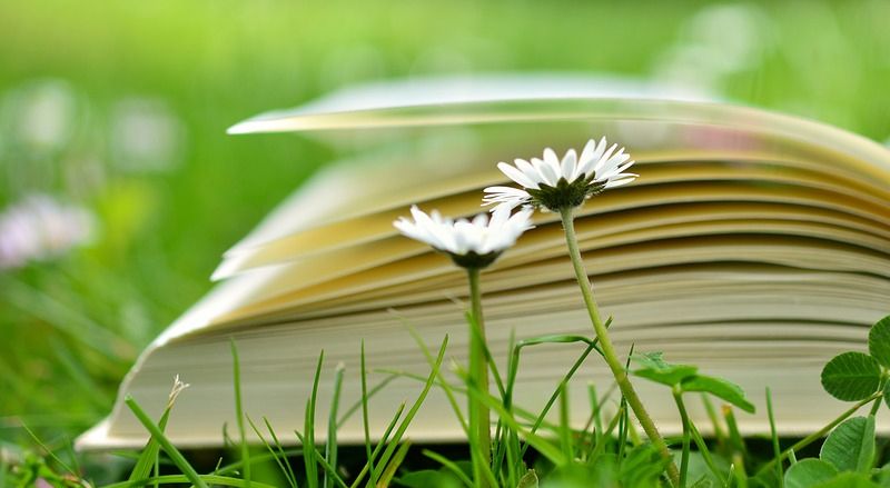 Educación Ecológica