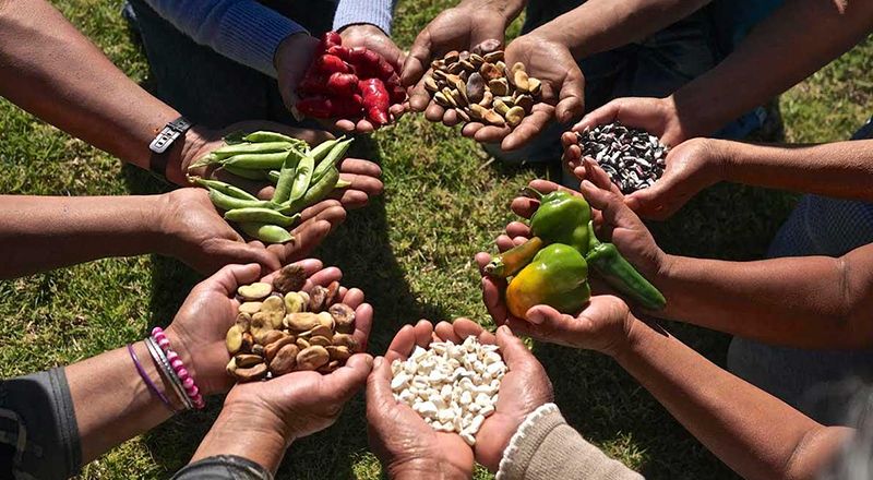 SOBERANÍA ALIMENTARIA PARA VIVIR BIEN