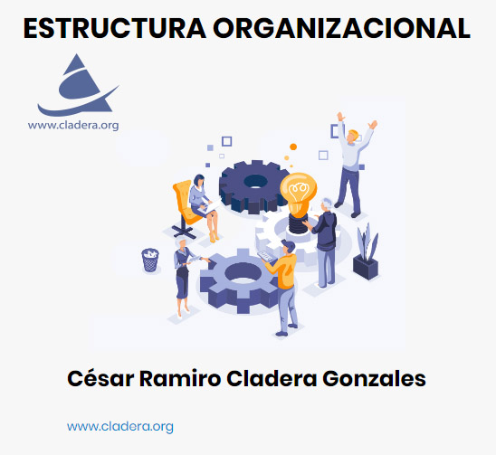 Estructura Organizacional
